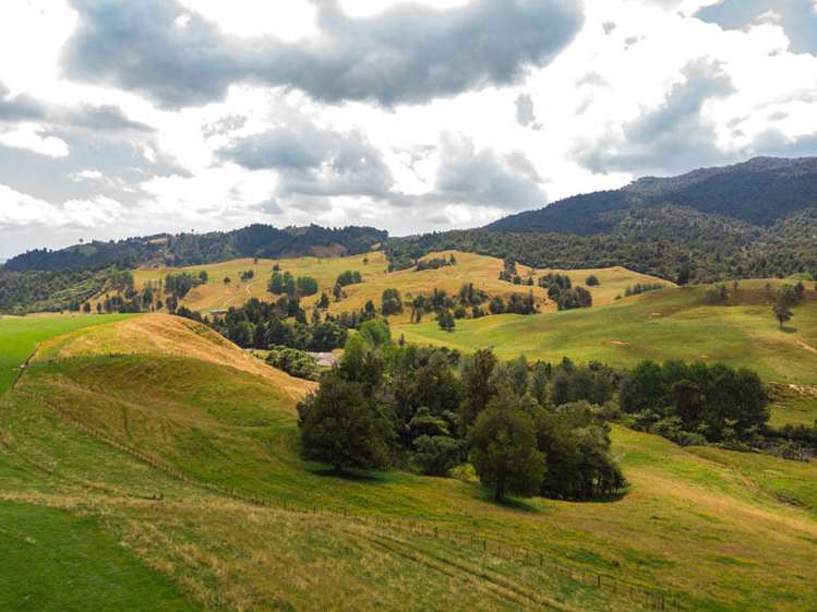 249 Franklin Road Waihi_15