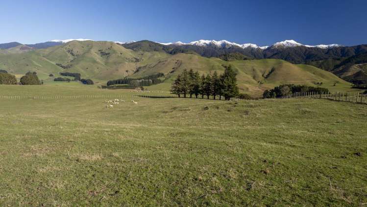 72 Te Hau Road Masterton_19