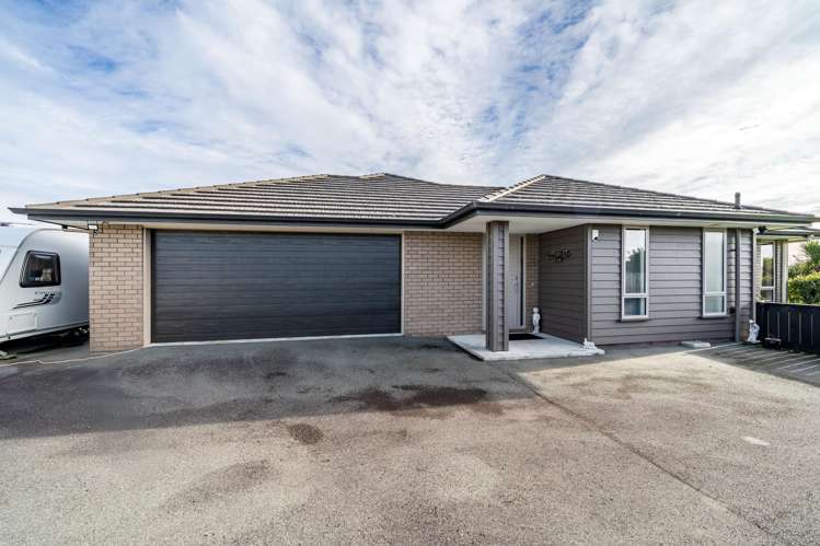 20 Majestic Chance Seaward Bush_23