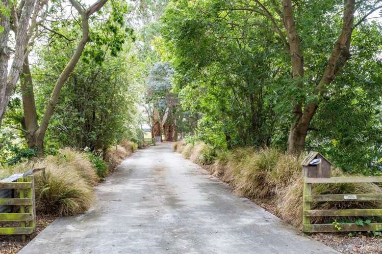 16 O'Connell Street Southbridge_18