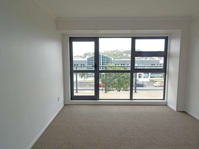 2p/83 New North Road Eden Terrace_3