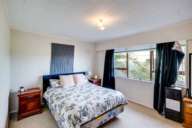 20 Plunket Street Tamatea_3