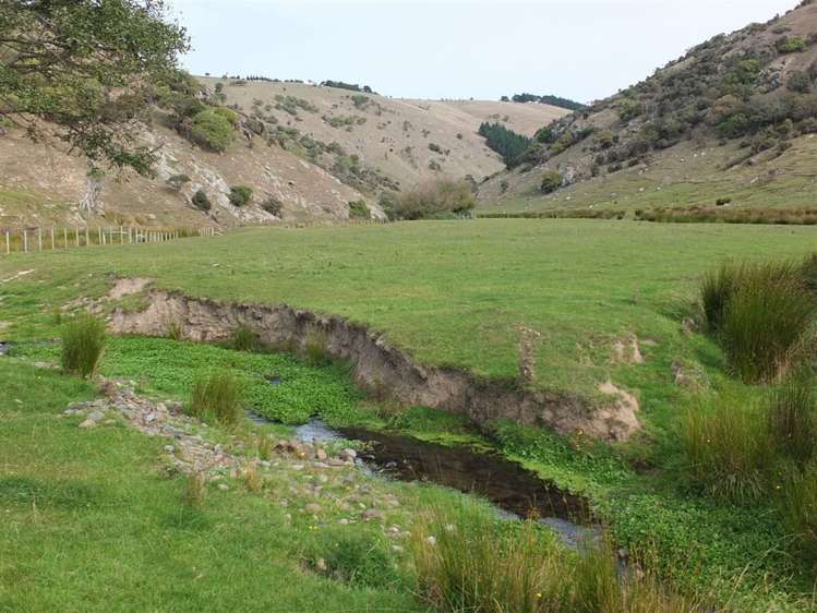 831 Chorlton Road Little Akaloa_47