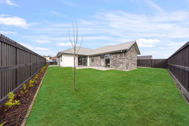 5 Lingard Street_1