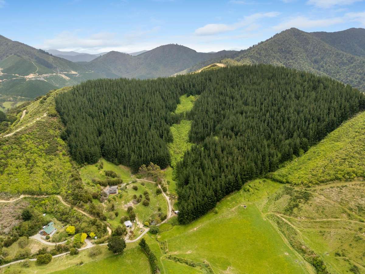 125 Kaiuma Bay Road_1