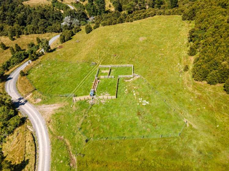 1178 Puhi Puhi Road Puhi Puhi_7