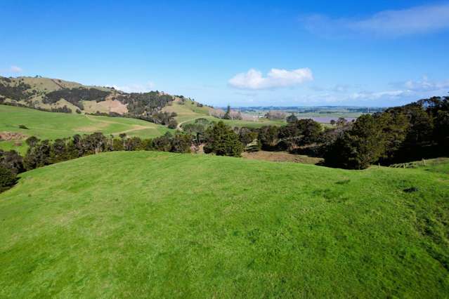 Whakahara Road Dargaville_2