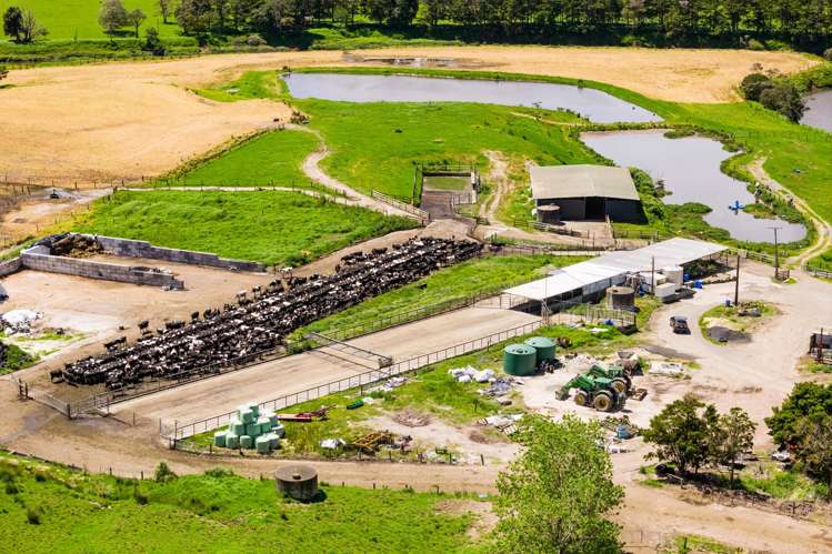 148 Malone Road Kokopu_6