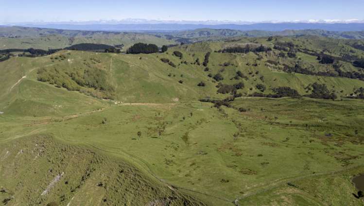 7 Hikawera Road Hinakura_11