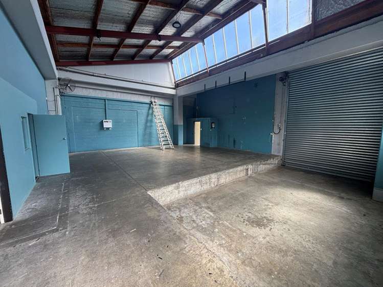 15 Birch Street Hutt Central_5