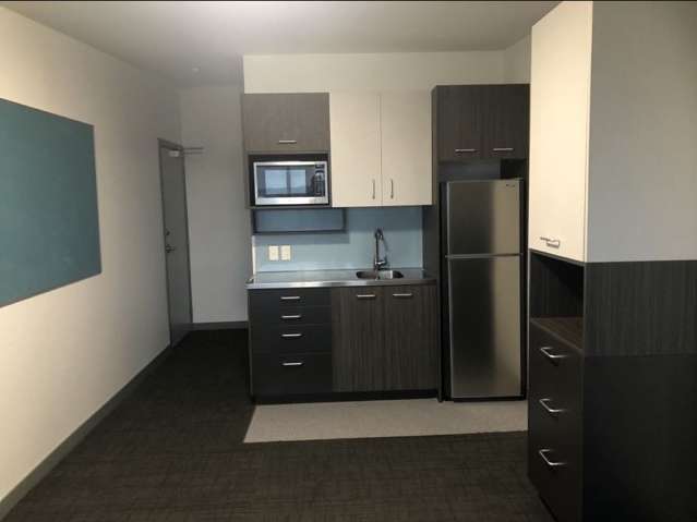 31/25 Dundonald Street 10021_1