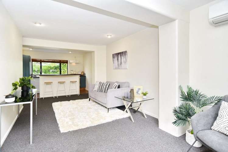 3/337 Armagh Street_0