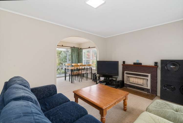 8 Springfield Road Springfield_6