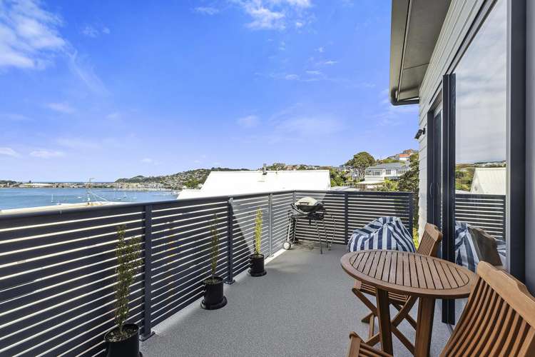 33a Treasure Grove Hataitai_11