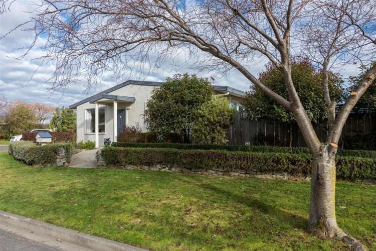 13 Page Street Redwoodtown_20