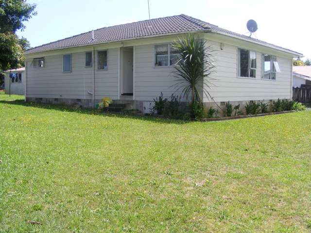 3 Tasman Street Pukekohe_1