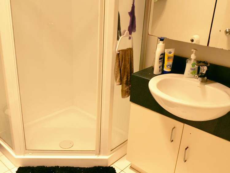 17/29 Rossmay Terrace Mount Eden_8