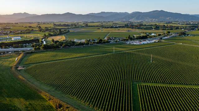 14 Lower Wairau Road Grovetown_4