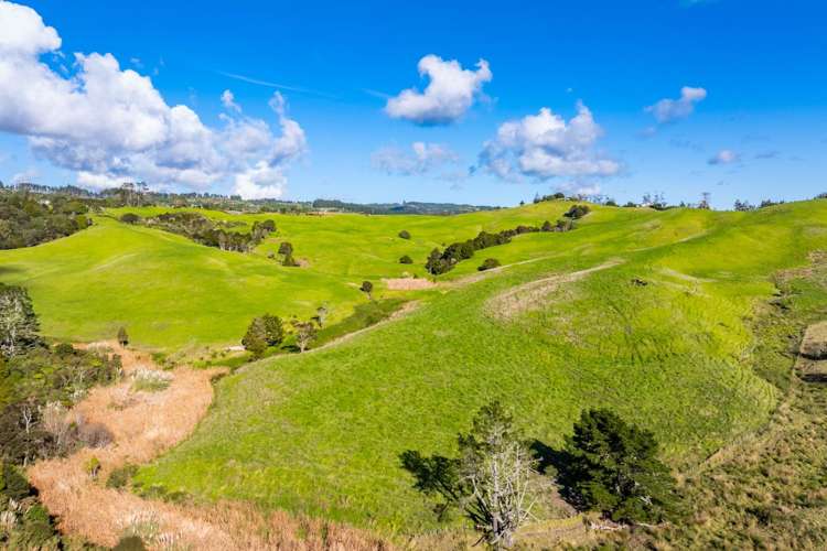 Glenmohr Road Waipu_11