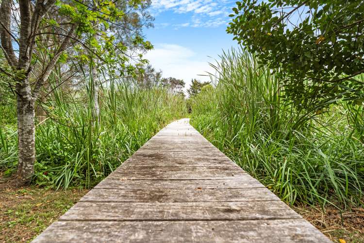 457 Matakana Valley Road Matakana_19