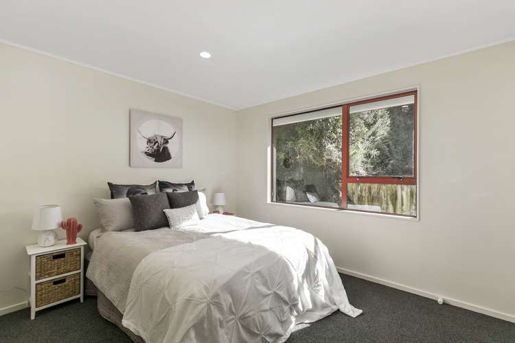 90b Holloway Road Aro Valley_7