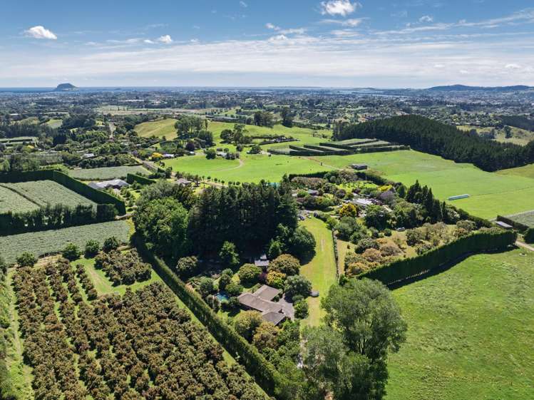 80 Vernon Road Te Puna_43