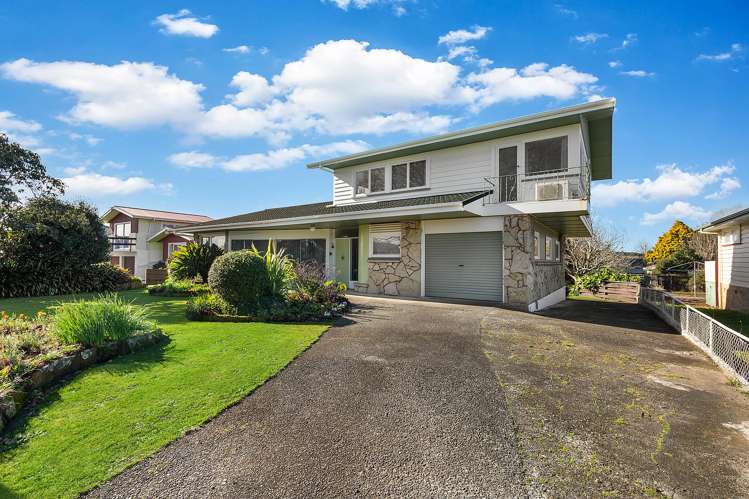 480 Thames Street Morrinsville_1