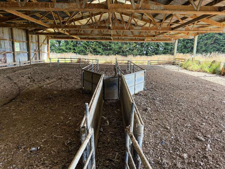 486 Steffan Road St Patricks_5