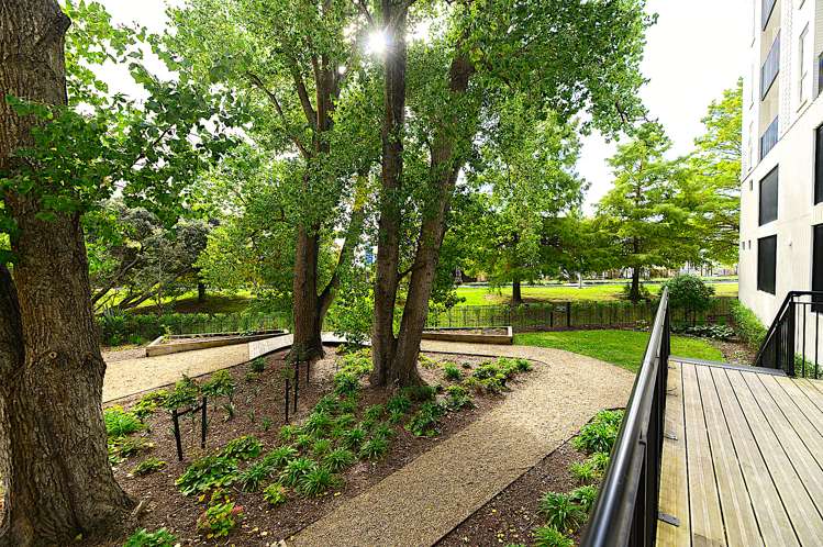 105/1817a Great North Road Avondale_19