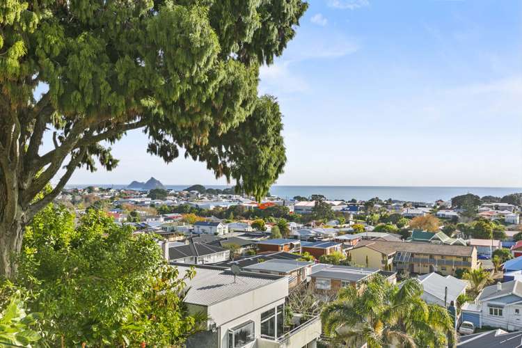 156 Vivian Street New Plymouth Central_14