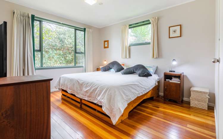 19a Arran Street Avondale_8