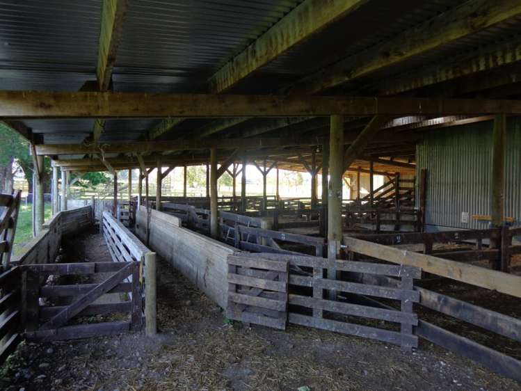 28 Symes Road Mount Somers_25