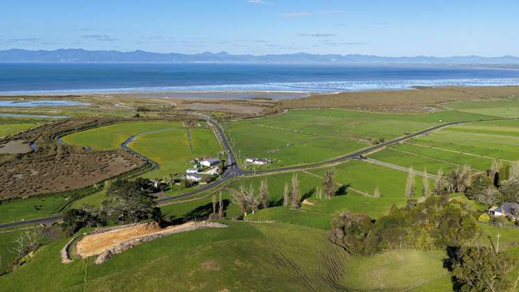 905 Miranda Road Miranda_13