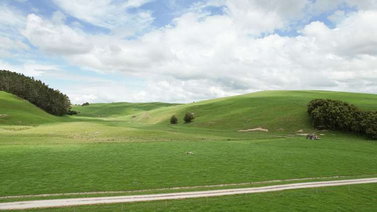 1108 Tokatoka Road Ruawai_6