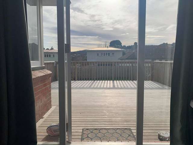 28 Burgess Street Green Island_3