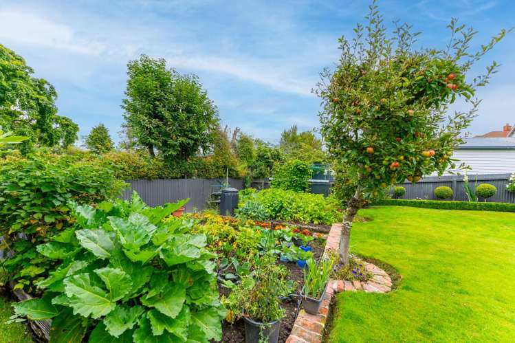 48 Trafalgar Street Maori Hill_15