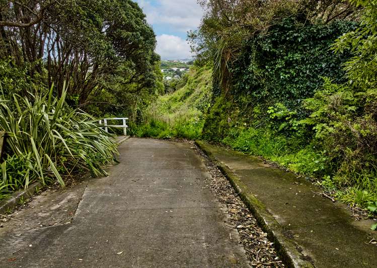 75 Camperdown Road Miramar_6