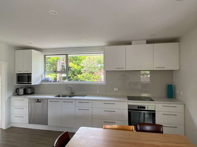 16A Puriri Street Riccarton_3