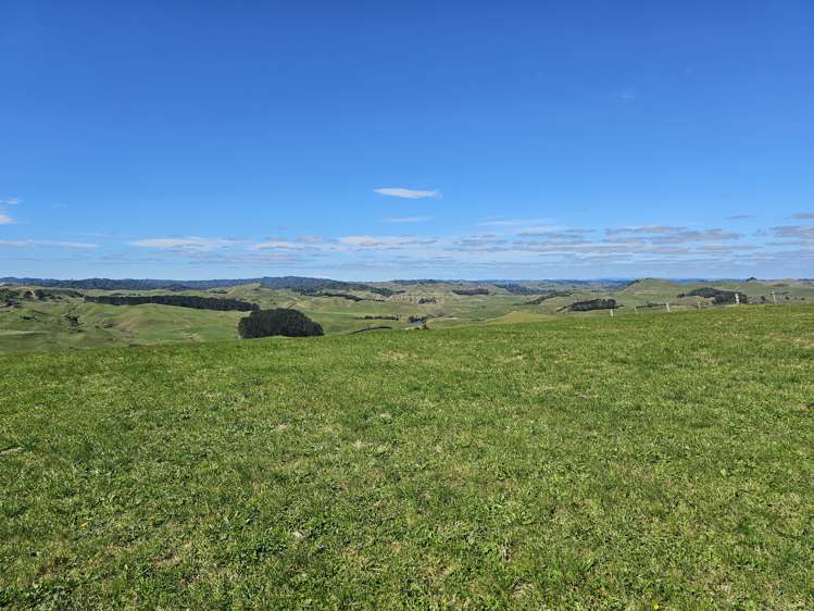 352 Rimutauteka Road Inglewood_10