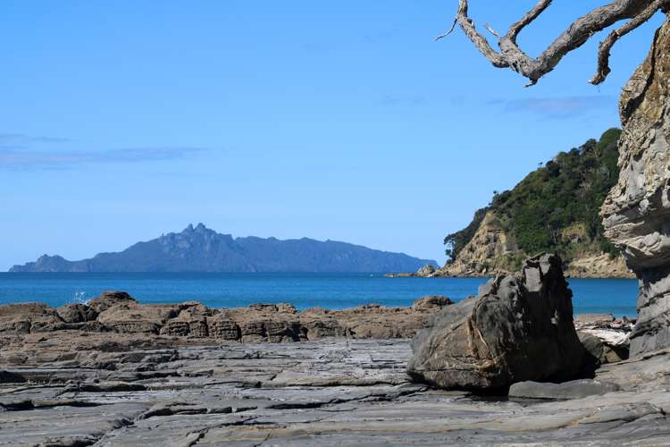 35 Bream Tail Road Langs Beach_9