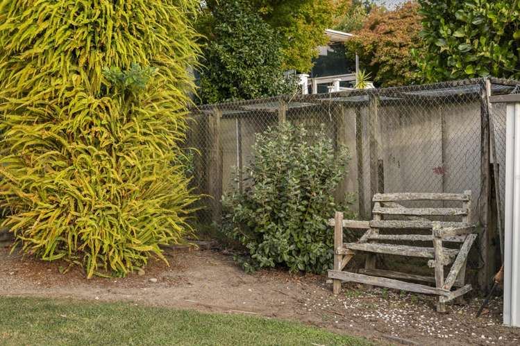 135 Haukore Street Hairini_31