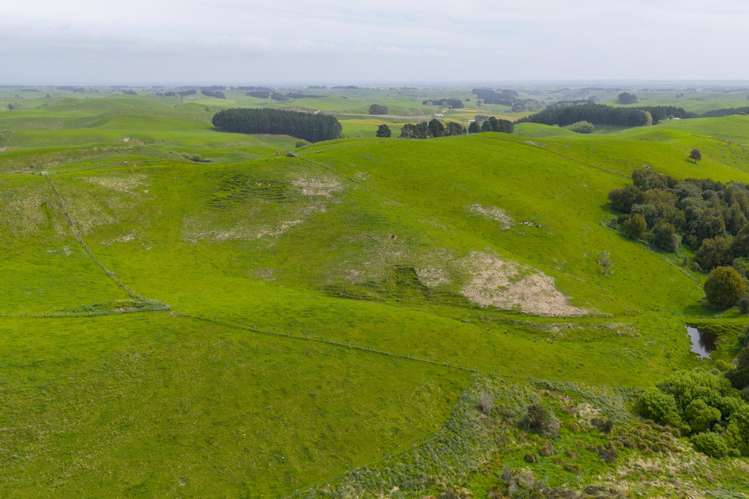 137 Zigzag Road Pohangina Valley_22