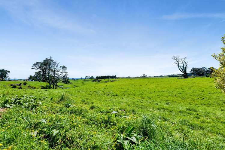 313 Egmont Road Hillsborough_26