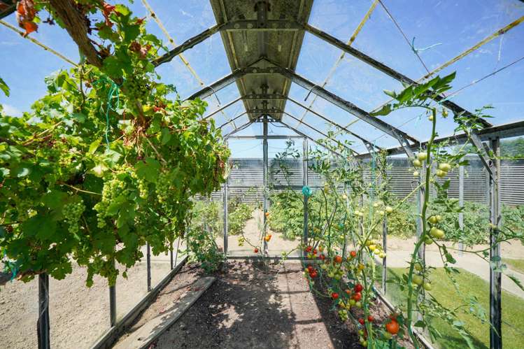 207 Waimatuku Bush Road Winton Surrounds_15