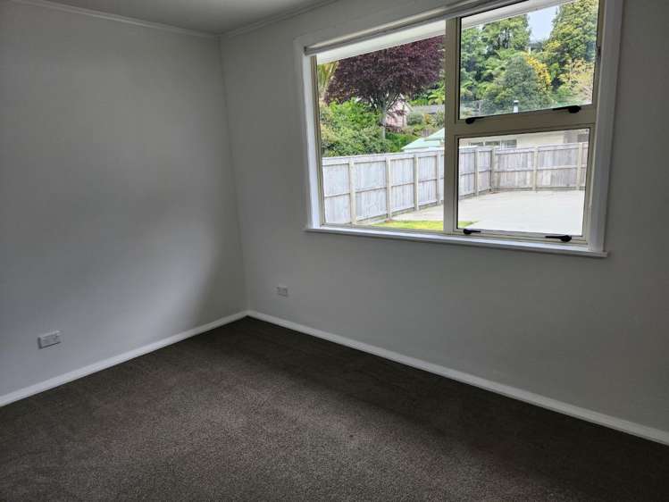 132 Huatoki Street Frankleigh Park_9