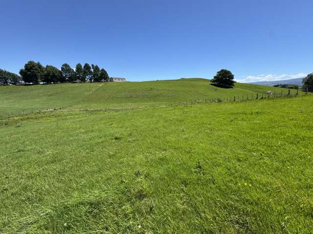 Lot 2 Pokuru Road Rd 3 Te Awamutu_3