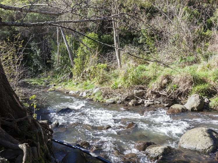 103 Richfield Road Port Levy_19