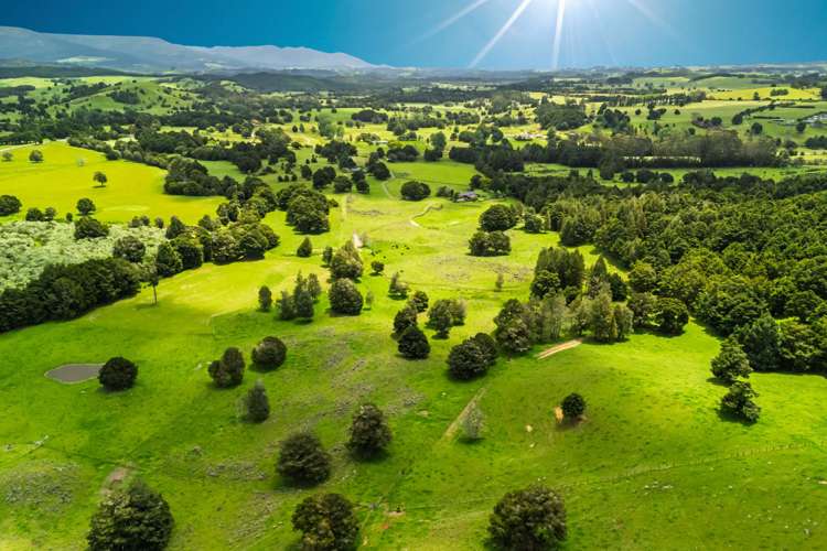 509B Mataraua Road Kaikohe_45