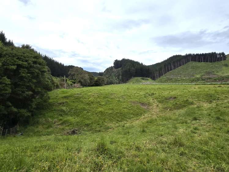 Lot 7 Turakina Valley Road Hunterville_6