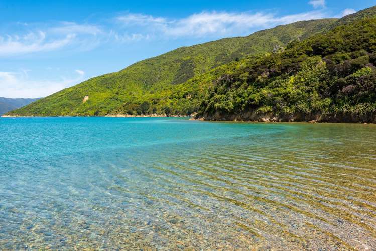 Lot 17 Onauku Bay Arapaoa Island_3